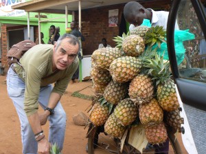 Piñas en Iganga.