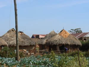  El chalet al fondo.