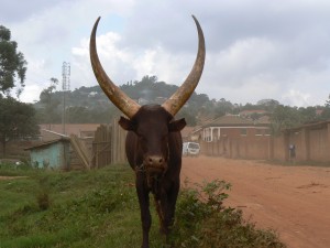 Kampala